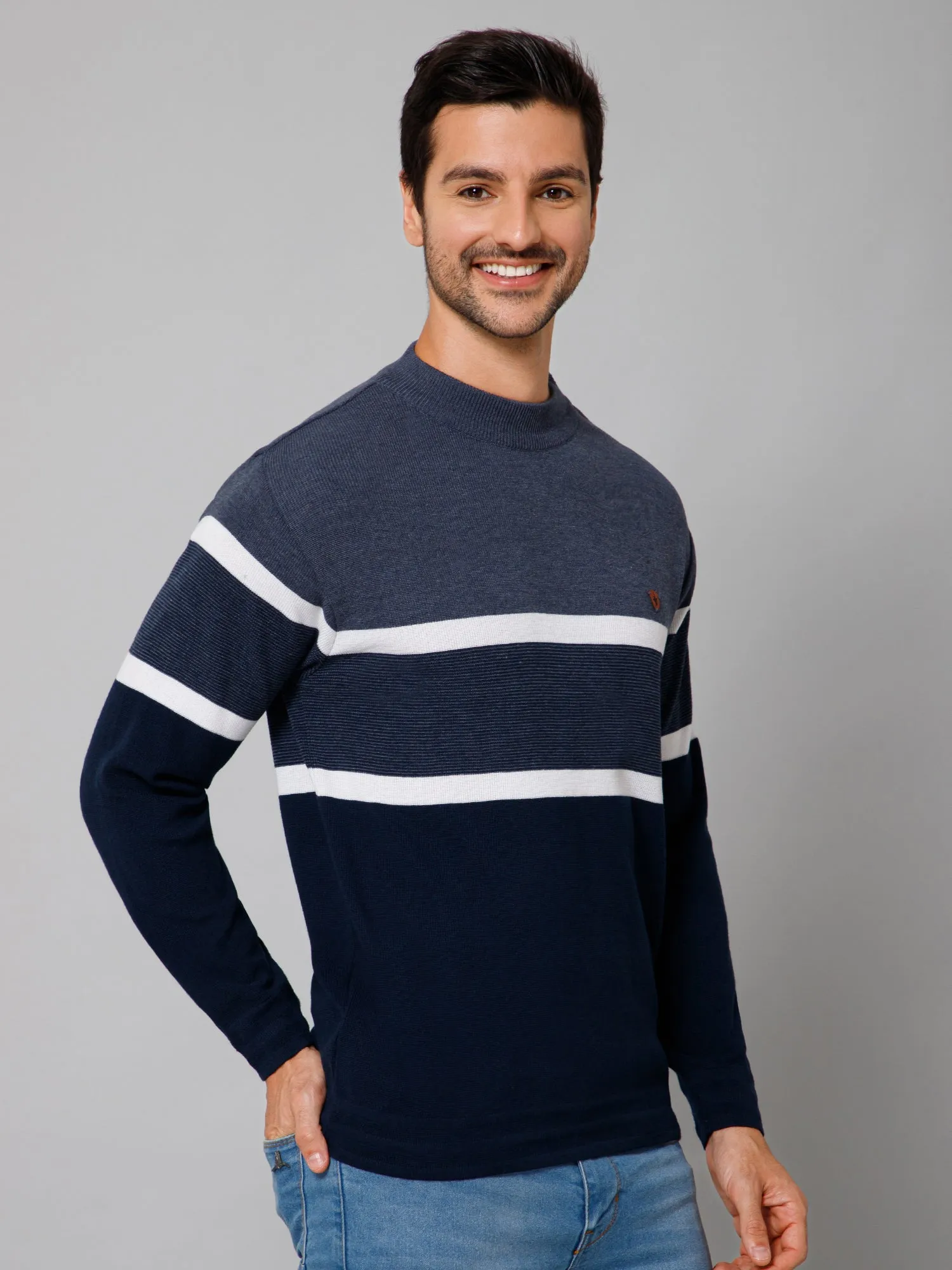 Stripe Navy Blue Full Sleeves Round Neck Regular Fit Casual Sweater for Men