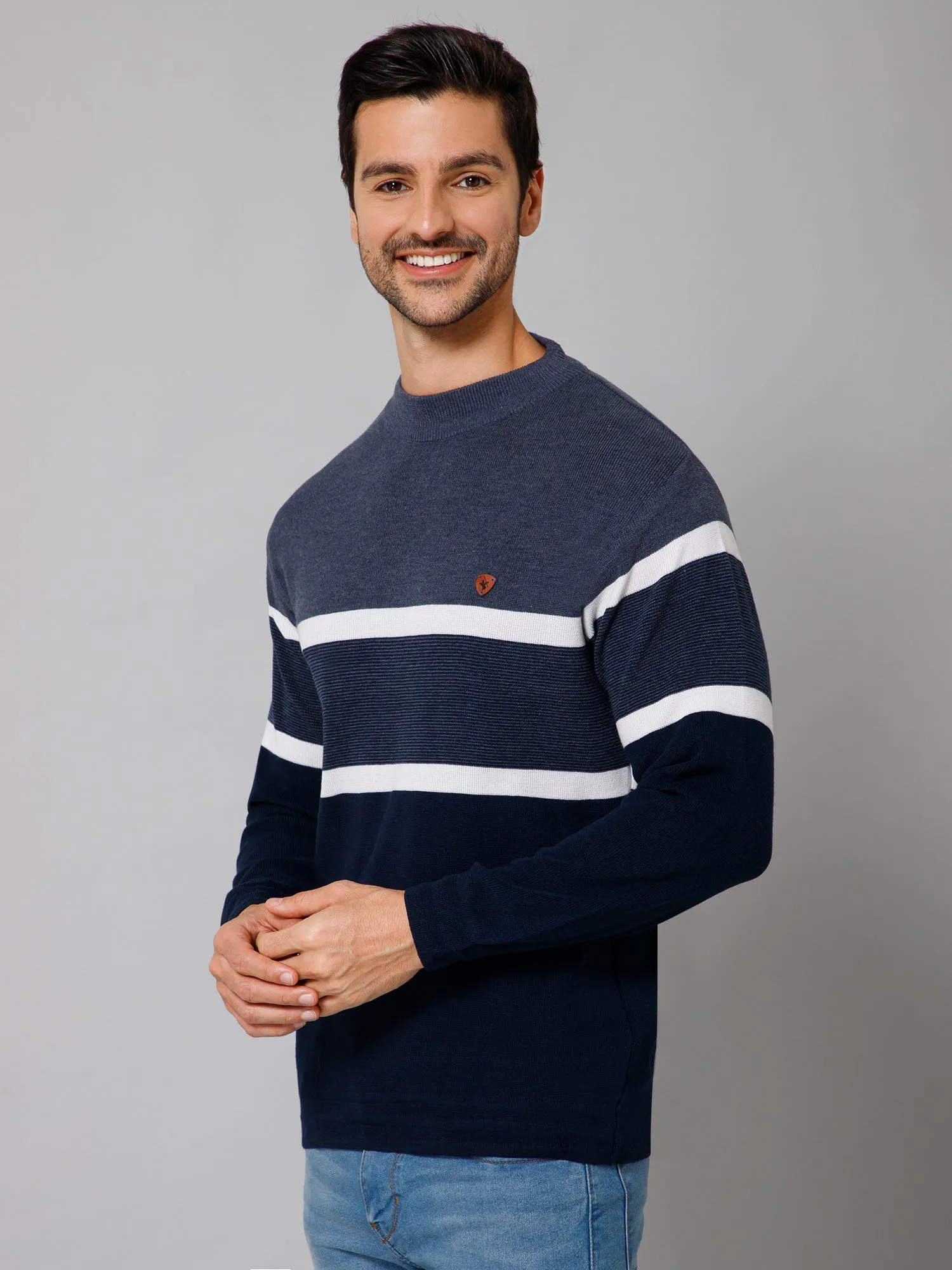 Stripe Navy Blue Full Sleeves Round Neck Regular Fit Casual Sweater for Men