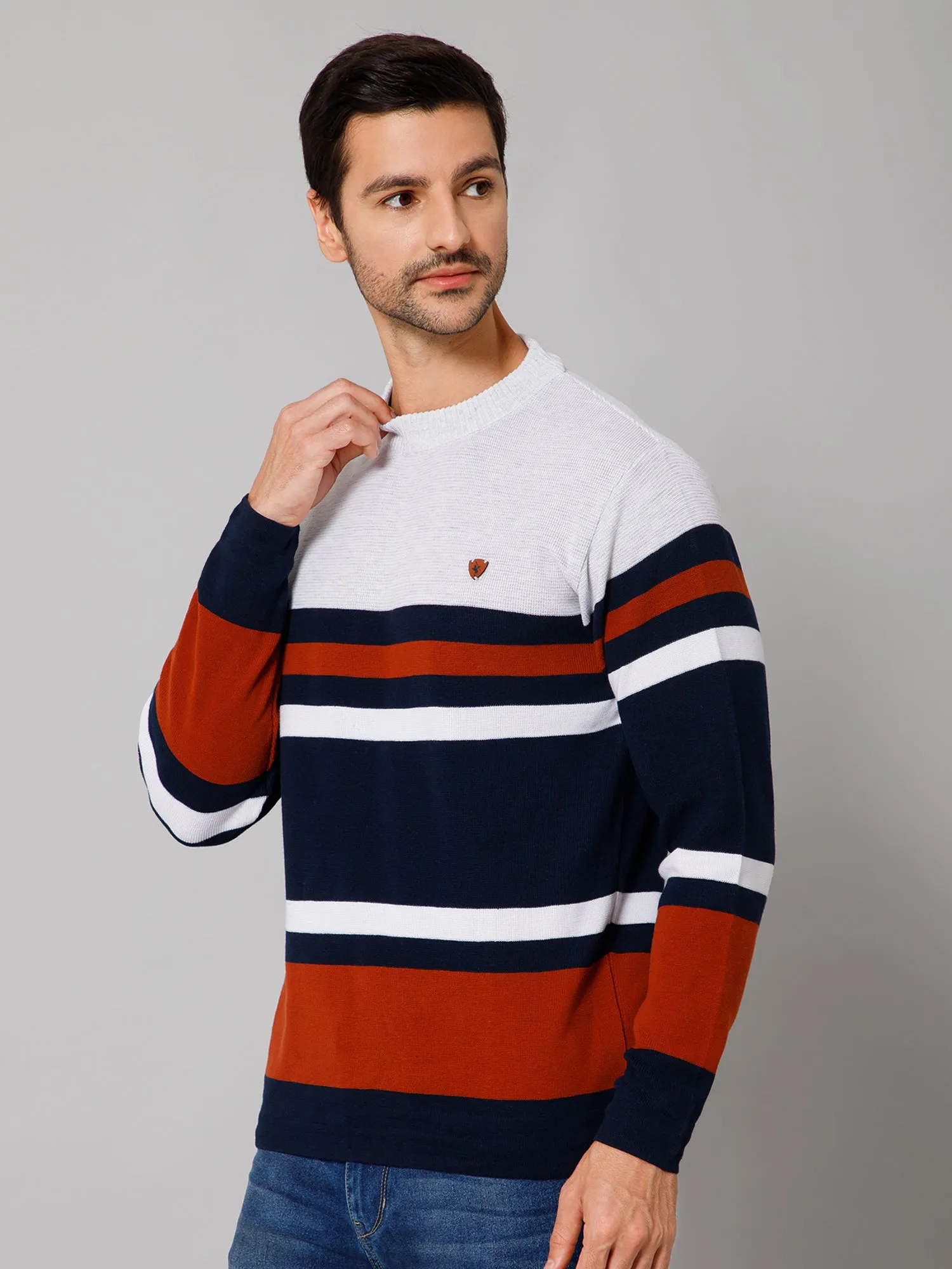 Stripe Rust Full Sleeves Round Neck Regular Fit Casual Sweater for Men