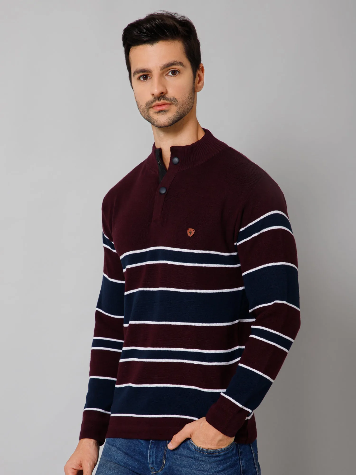 Stripe Wine Full Sleeves Band Collar Regular Fit Casual Sweater for Men