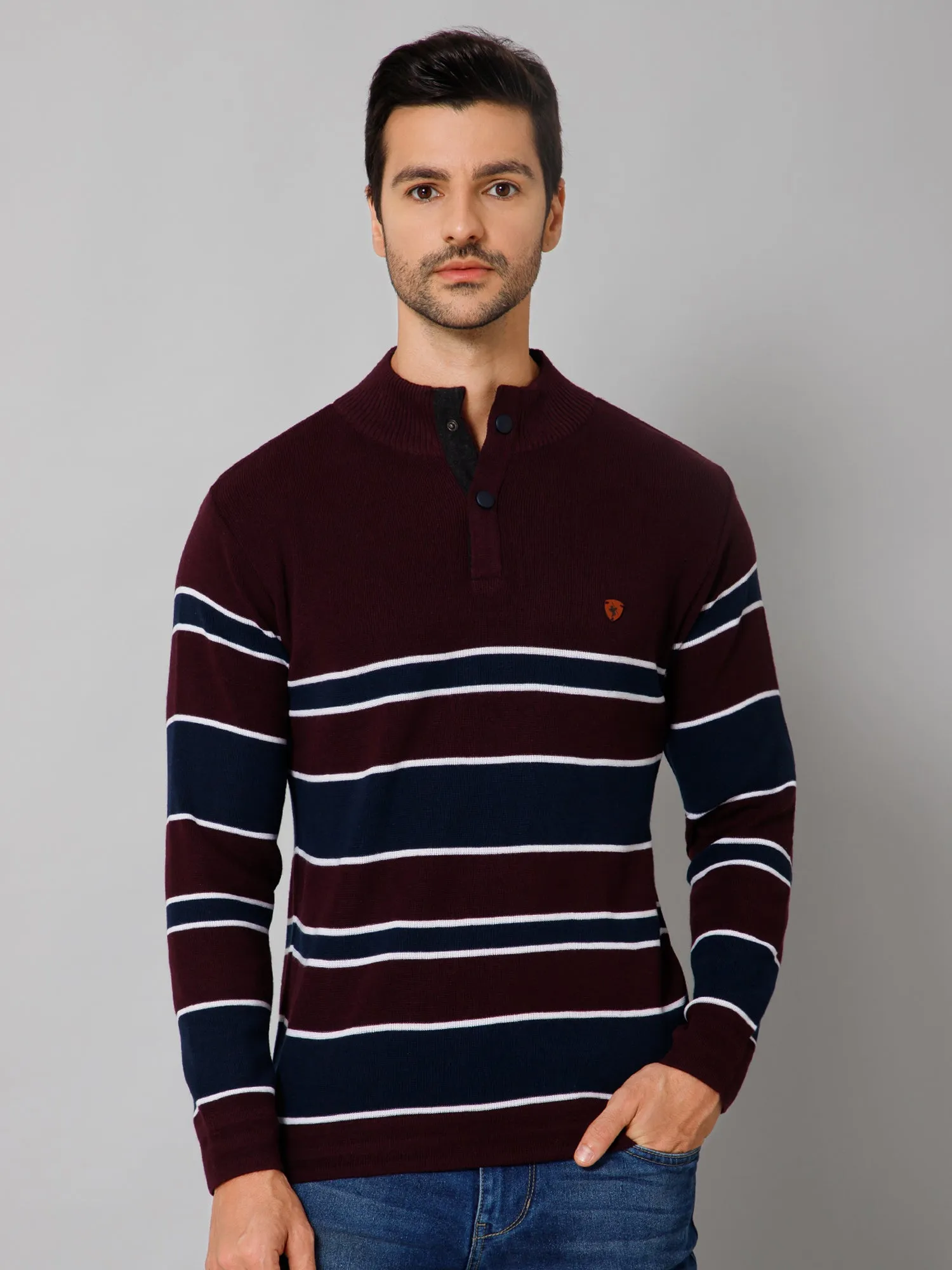 Stripe Wine Full Sleeves Band Collar Regular Fit Casual Sweater for Men