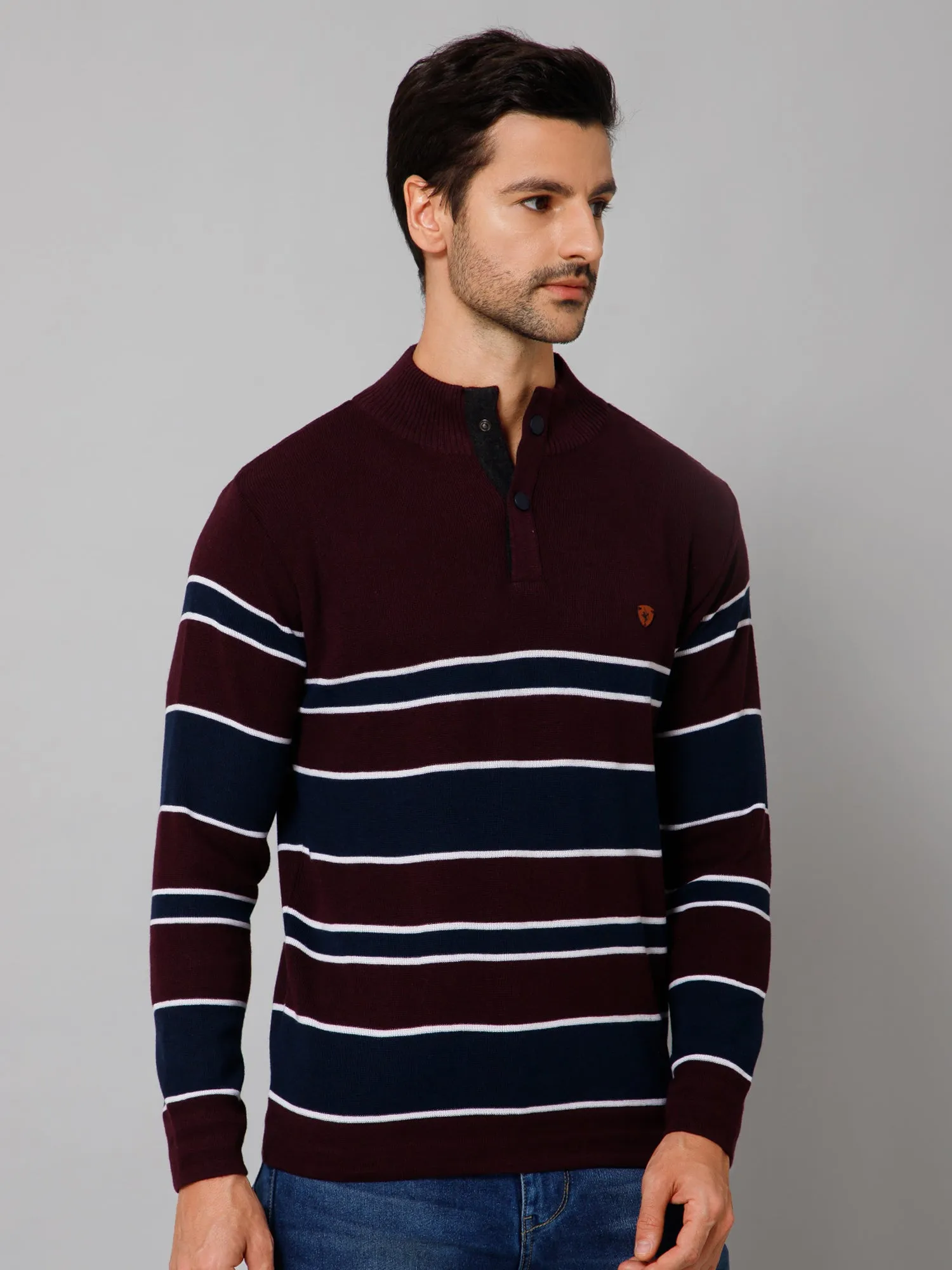 Stripe Wine Full Sleeves Band Collar Regular Fit Casual Sweater for Men